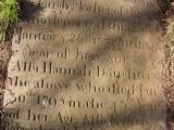 image of grave number 432936